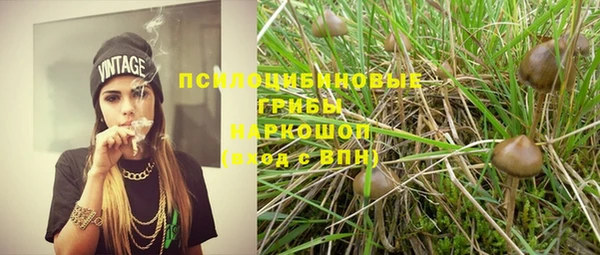 МДМА Богданович
