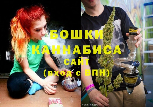 стафф Майский