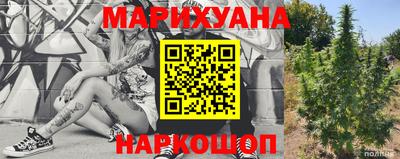 шишки Апшеронск