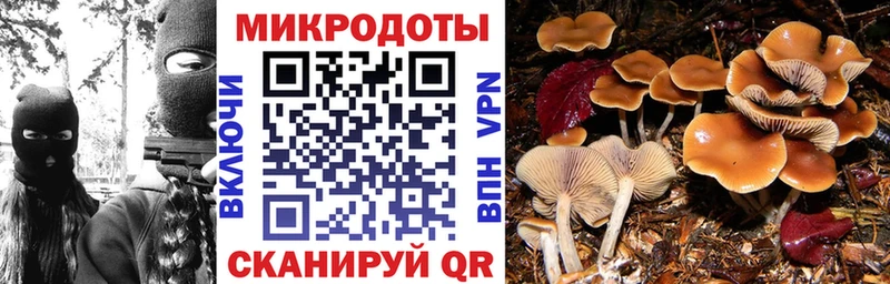 Псилоцибиновые грибы Magic Shrooms Сосновый Бор