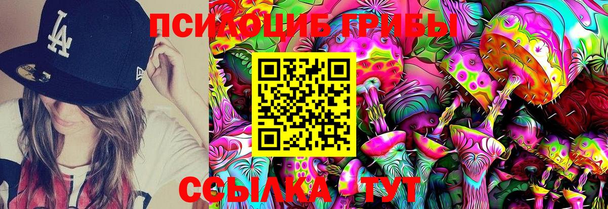 Псилоцибиновые грибы MAGIC MUSHROOMS Сосновый Бор