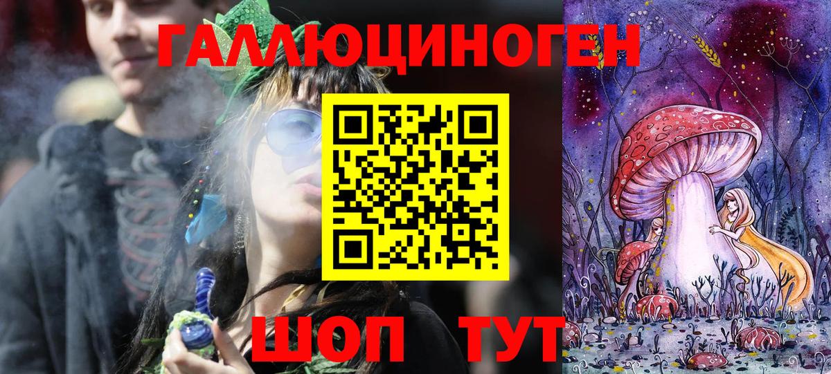 Сосновый Бор  Галлюциногенные грибы мухоморы  Вход с VPN 