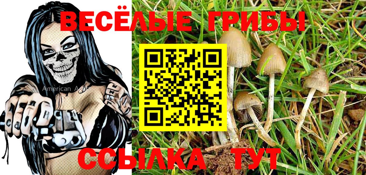 Галлюциногенные грибы GOLDEN TEACHER Сосновый Бор