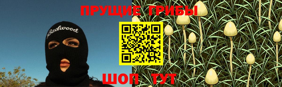 Псилоцибиновые грибы Psilocybine cubensis  Галлюциногенные грибы Magic Shrooms  Сосновый Бор 